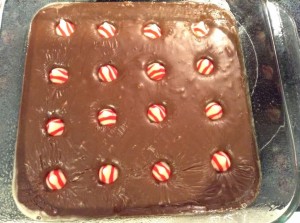 Chocolate Peppermint Fudge 