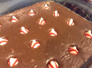 Chocolate Peppermint Fudge 