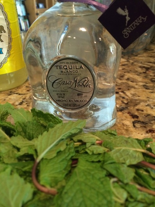 tequila mojito