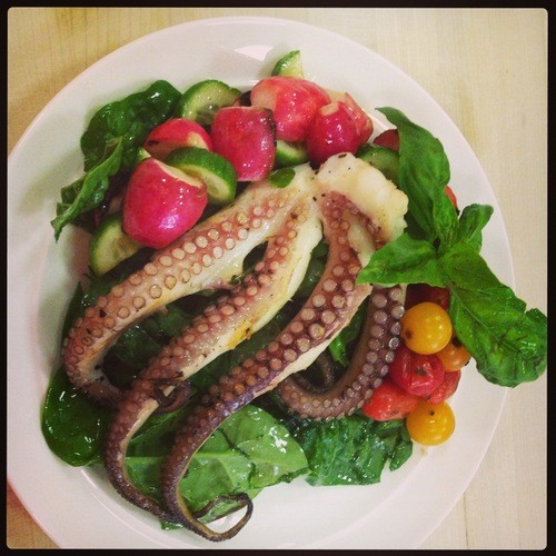 cooking octopus with guest blogger all five senses