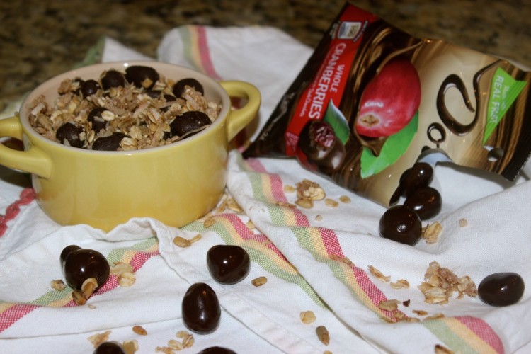 Homemade Granola with DOVE® Fruit  #lovedovefruit #collectivebias 