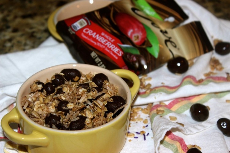 Homemade Granola with DOVE® Fruit  #lovedovefruit #collectivebias 