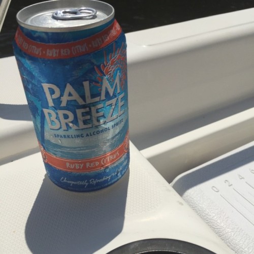 #VacayEveryDay with Palm Breeze