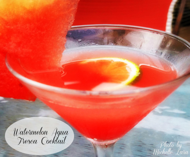 watermelon-aqua-fresca-cocktail_pin