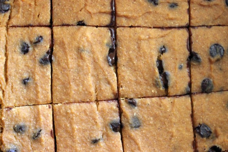 Pumpkin Chocolate Chip Cake Squares #StonyfieldBlogger