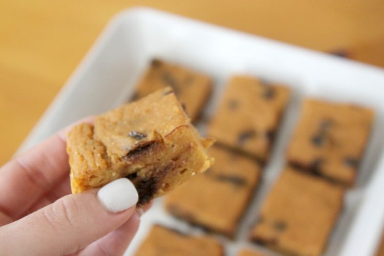 Pumpkin Chocolate Chip Cake Squares #StonyfieldBlogger