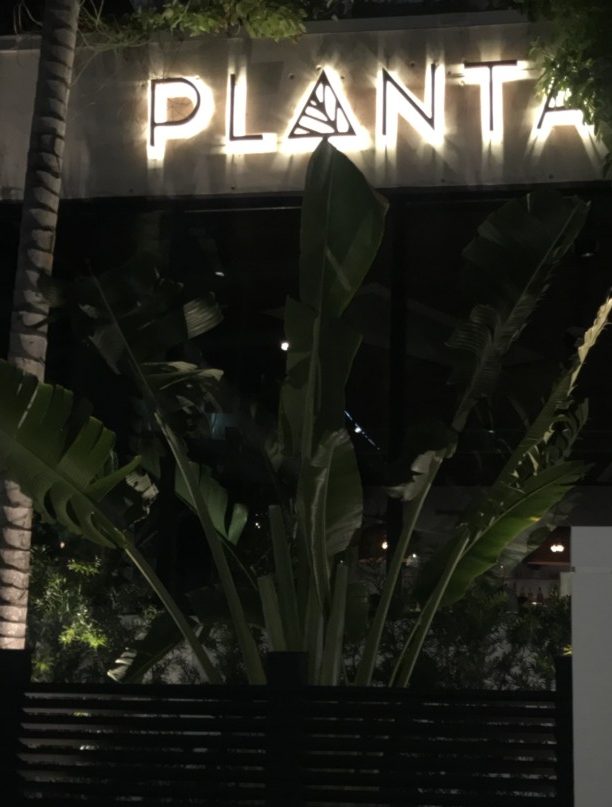 Planta South Beach