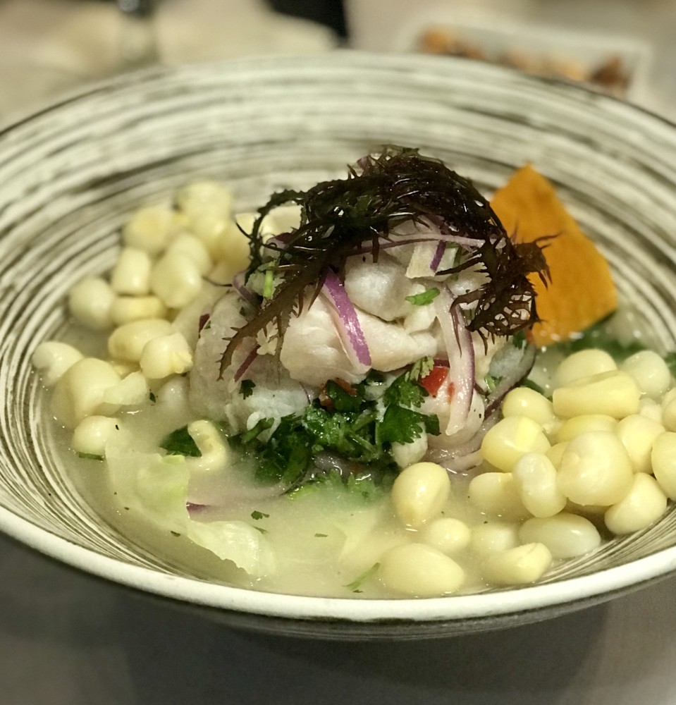 Dr. Limon West Palm Beach, Ceviche