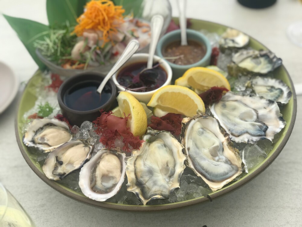 Juvia Miami Beach, Oysters and Ceviche